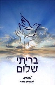 Picture of The Garden of Purity Single Men Hebrew Edition [Paperback]